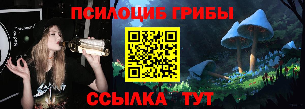 Галлюциногенные грибы прущие грибы  магазин  наркотиков  Саянск  Вход с VPN  Галлюциногенные грибы Magic Shrooms 